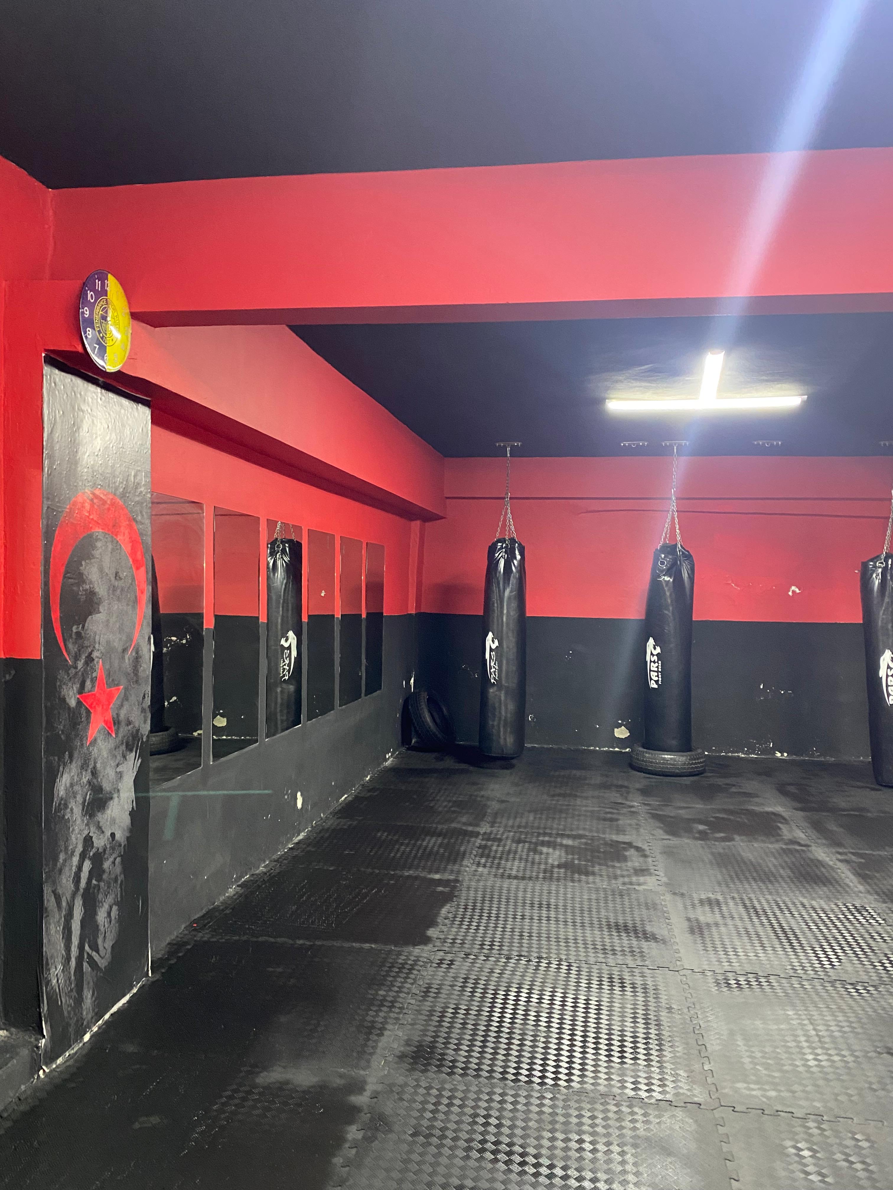 Ödüller ve Başarılar